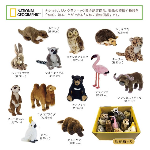 どうぶつぬいぐるみ Vol２ １３体セット チャイルドショップ